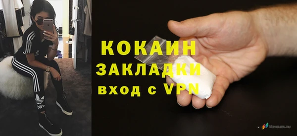 прущая мука Каменка