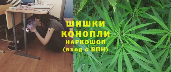 прущая мука Каменка