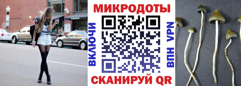 Галлюциногенные грибы мицелий Купить где Никольск